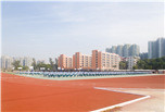 成都職業(yè)技術(shù)學(xué)院什么專業(yè)最好