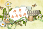 2019年成都中考大事記