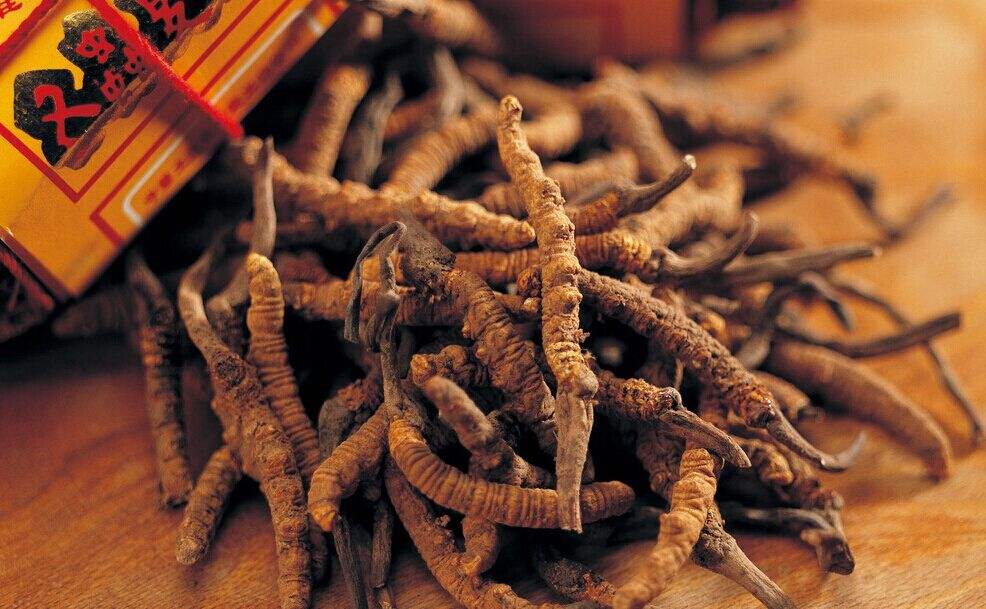 中醫(yī)學(xué)專業(yè)主要學(xué)什么